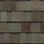 TruDefinition Duration STORM shingles