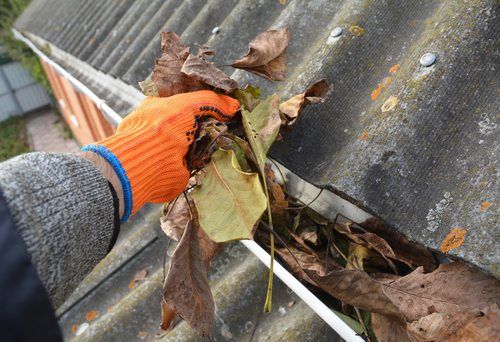 A hand with an orange glove removing dead leaves from gutters.